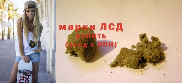 PSILOCYBIN Алзамай