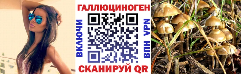 Псилоцибиновые грибы Psilocybine cubensis цены наркотик Кремёнки